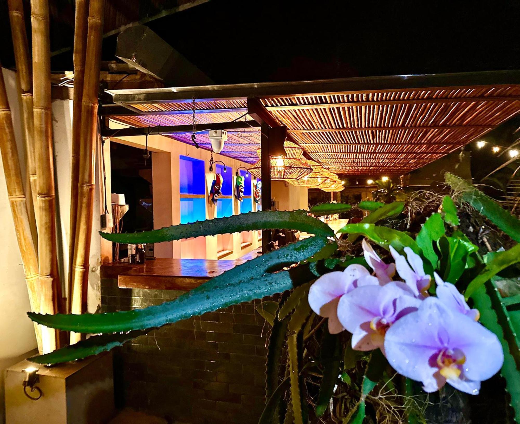 Curiol Boutique Hotel & Lounge Potrero  Exteriör bild
