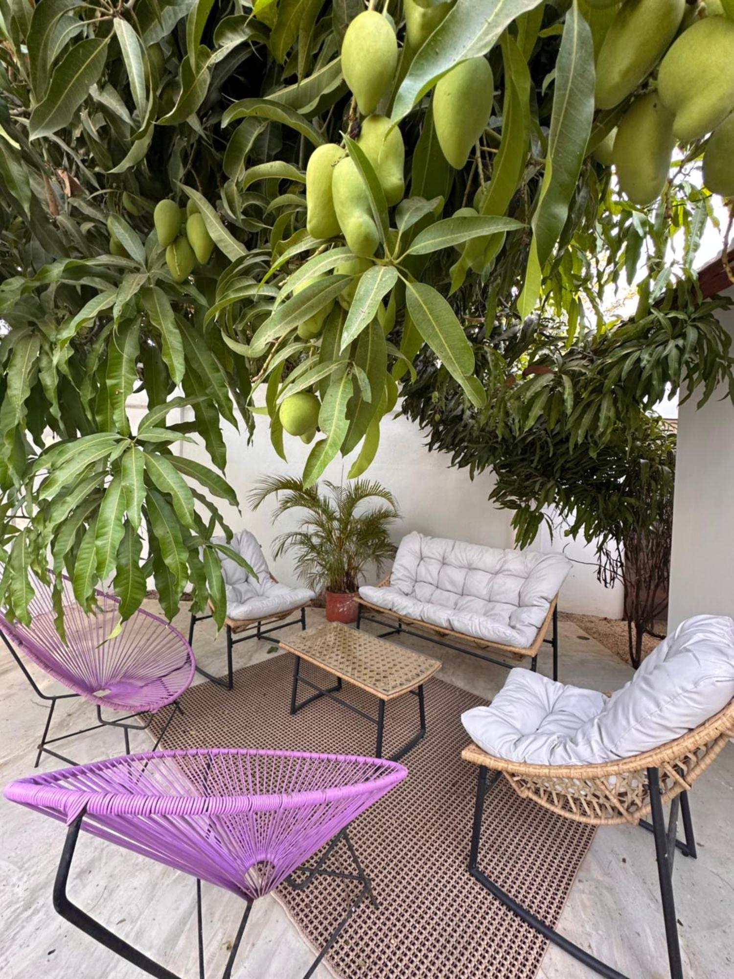 Curiol Boutique Hotel & Lounge Potrero  Exteriör bild